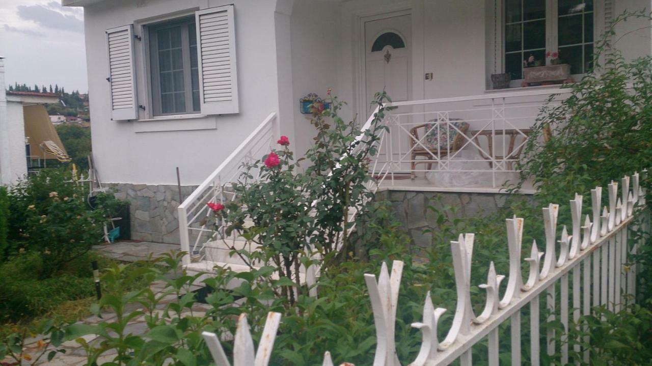 Eleni'S Village Relaxation Home エディプソス エクステリア 写真